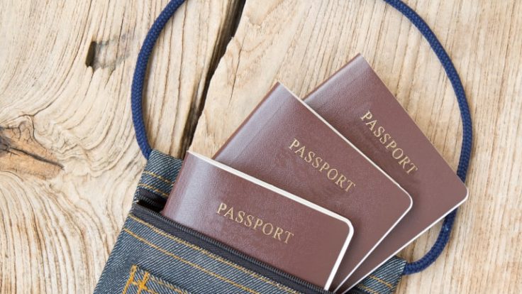 Vize Nedir? Çeşitleri Nelerdir?