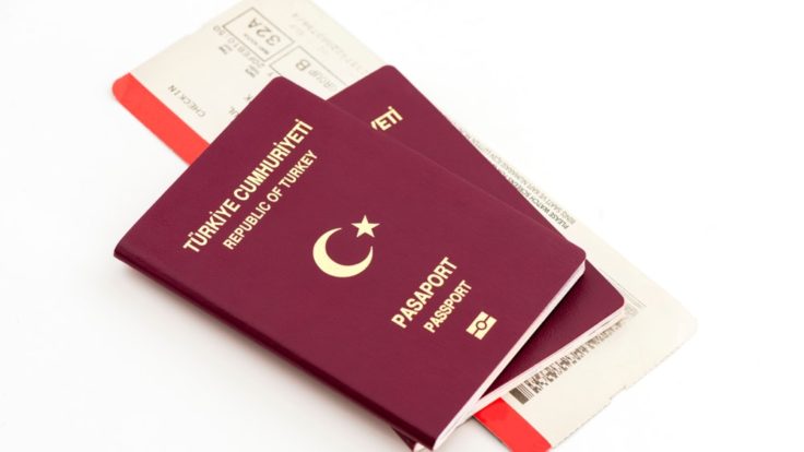 Pasaport Nedir, Çeşitleri Nelerdir?