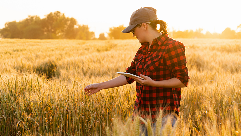 Devlet Destekli Tarım Sigortaları